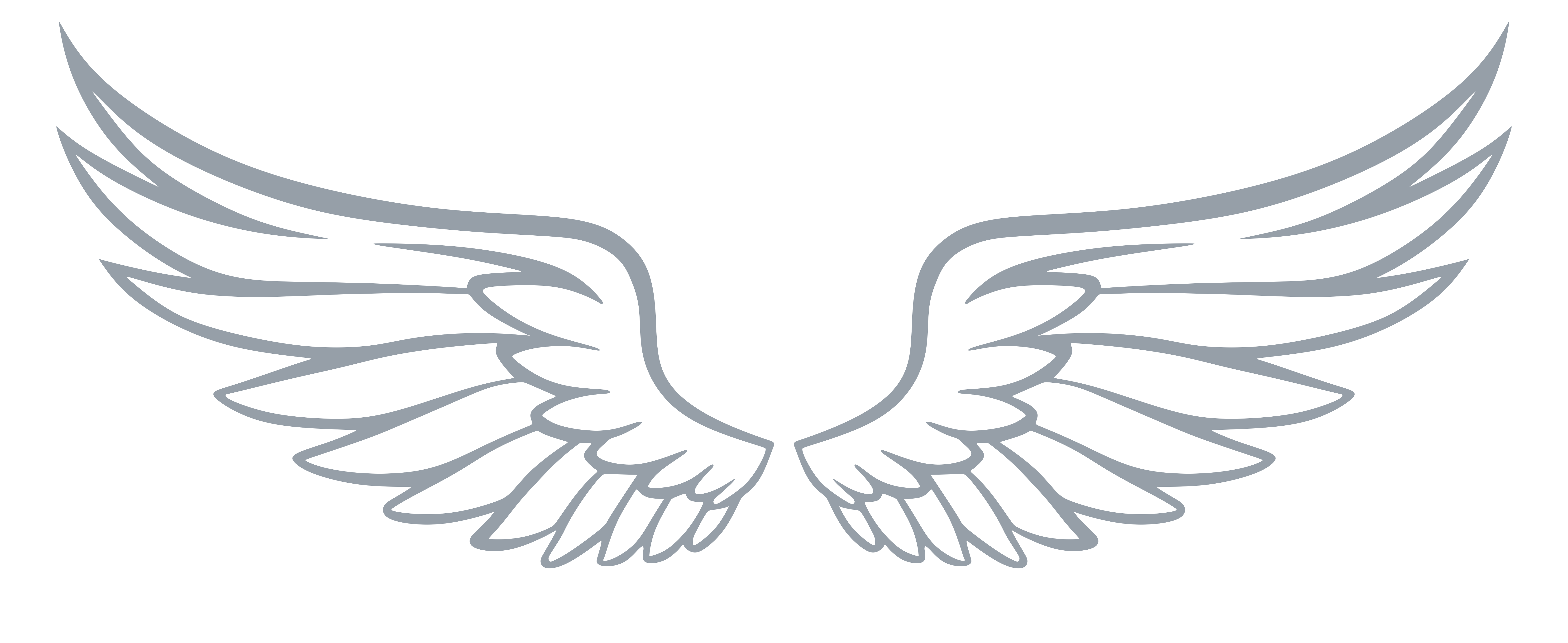 NLR-wings-grey